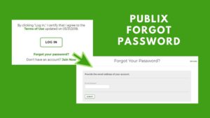 publix forgot password